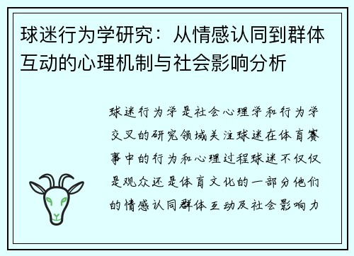 球迷行为学研究：从情感认同到群体互动的心理机制与社会影响分析